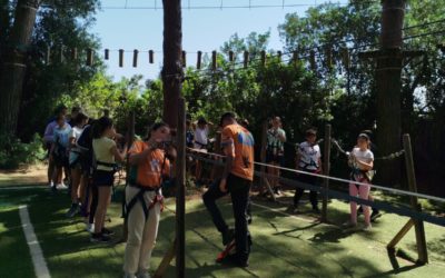 Visita al bosque suspendido de Bollullos de la Mitación