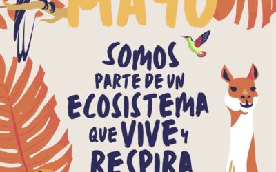 Somos parte de un ecosistema que vive y respira