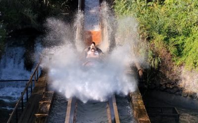 Día en Agua Mágica e Isla Mágica